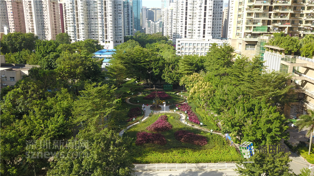  鵬城眼|我的實事我做主！5年辦理“民生微實事”6774件}